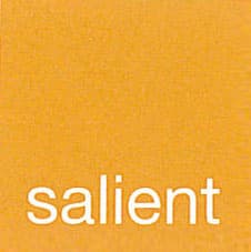 Salient logo